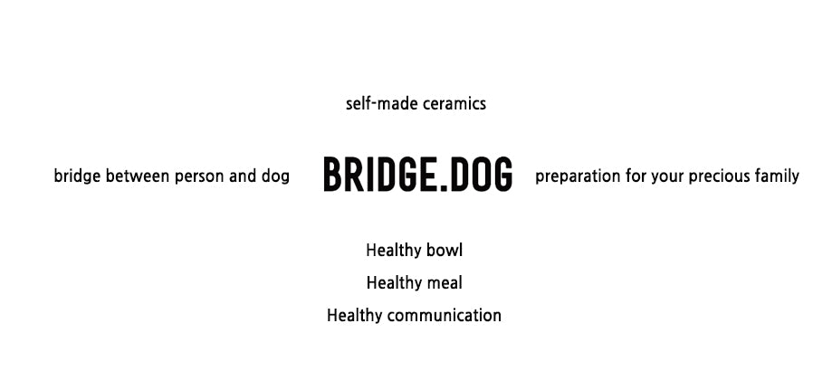 BRIDGE.DOG