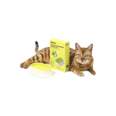 ZODIAC Soilless Wheatgrass Cat Grass Growing Kit – Yellow