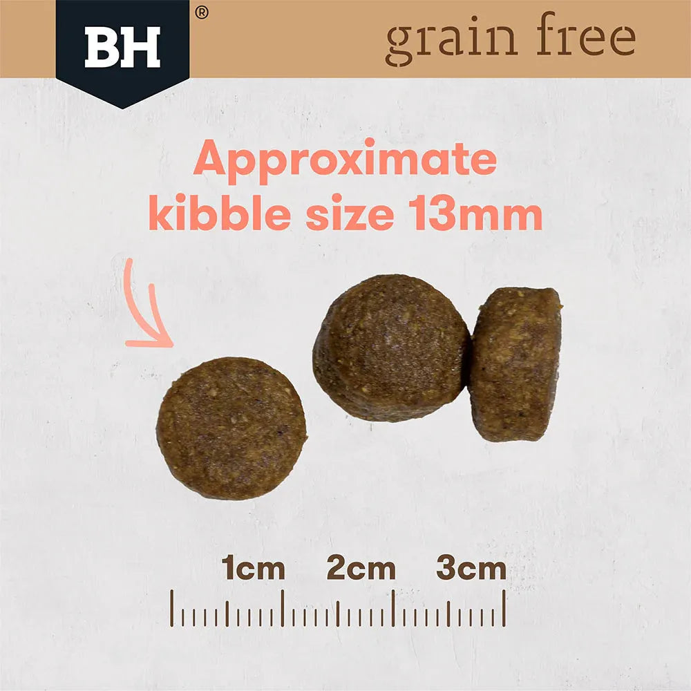 Black Hawk Adult Dog Dry Food Grain Free Tasmanian Salmon