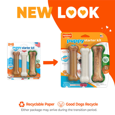 Nylabone Puppy Chew Starter Kit Chew Toy with Chew Treat
