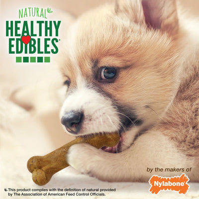 Nylabone Healthy Edibles All-Natural Long Lasting Puppy Chew Treats Turkey/Sweet Potato