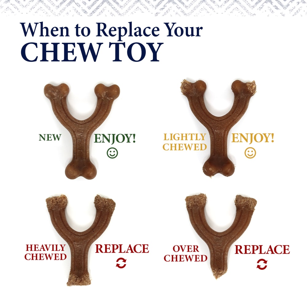 Nylabone Dog Chew Toy Strong Chew Gourmet Style Stick - Peanut Butter