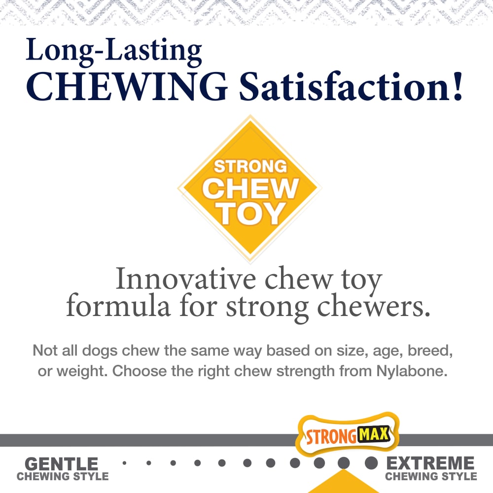 Nylabone Dog Chew Toy Strong Chew Gourmet Style Wishbone - Chicken