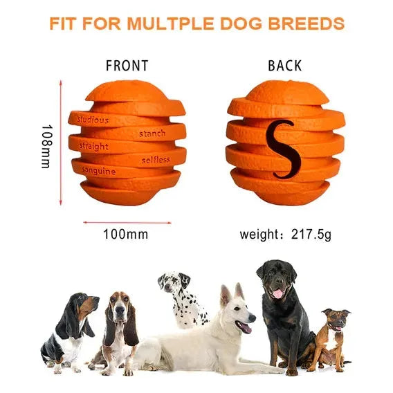 PETOPIA Ultra Tough Dog Toy Zesty Orange
