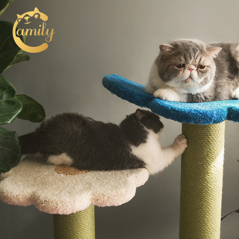 Camily Flower Ladder Climbing Cat Tree