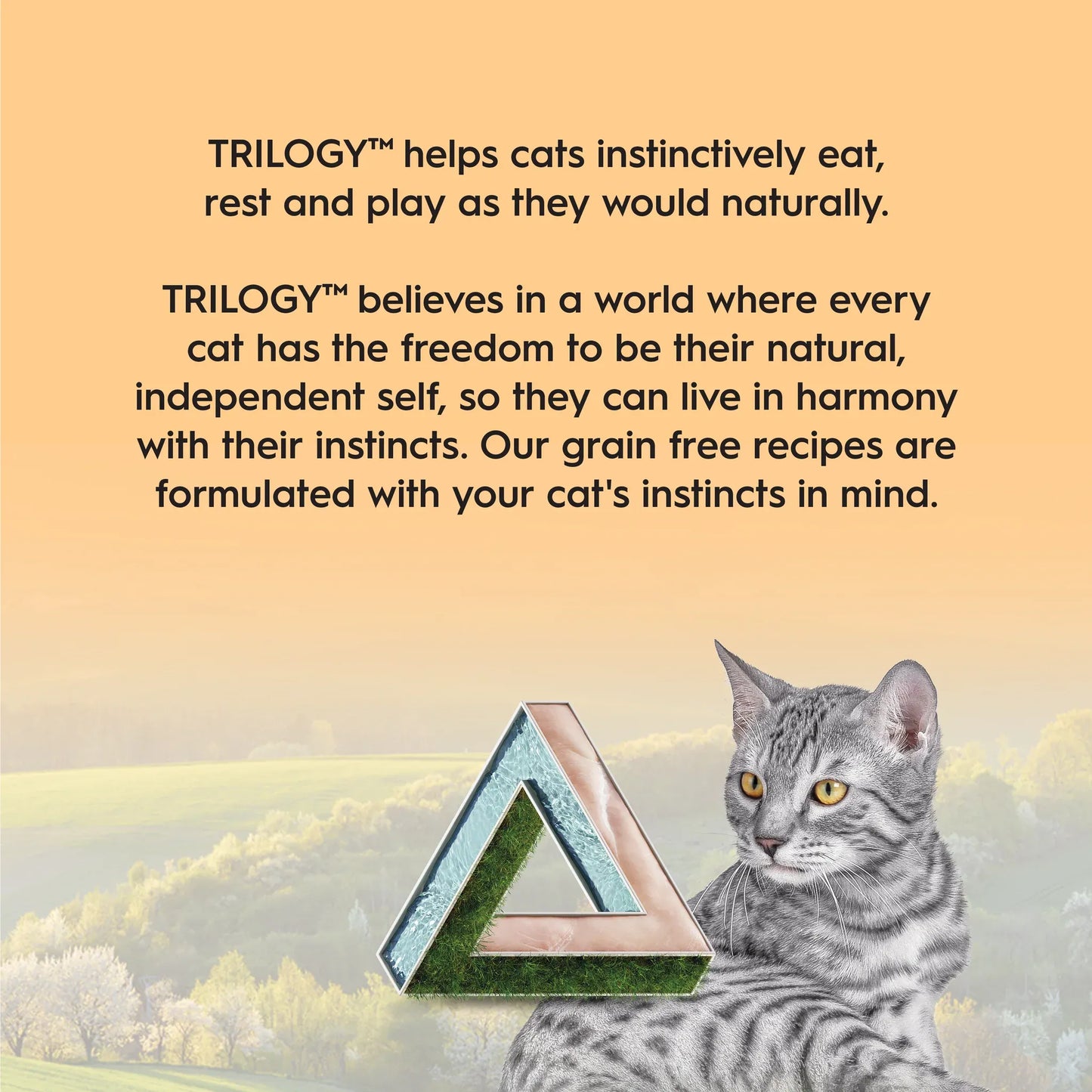 TRILOGY™ KITTEN Cat Wet Food - FARM RAISED CHICKEN IN BONE BROTH