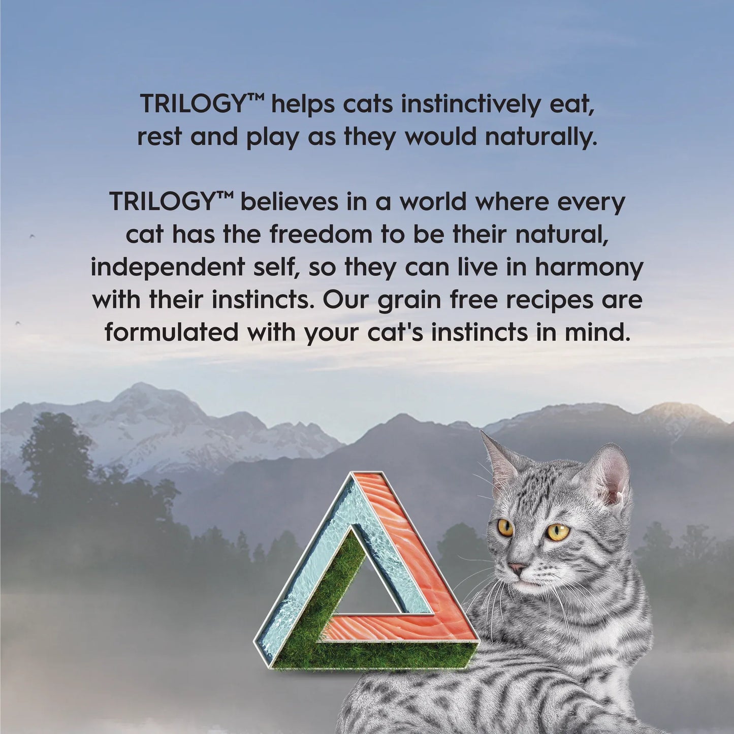 TRILOGY™ Adult Cat Wet Food - WILD CAUGHT ALASKAN SALMON IN BONE BROTH
