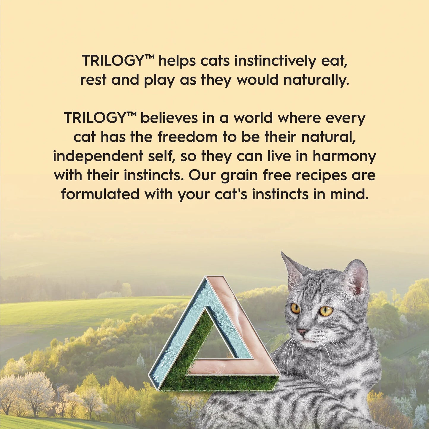 TRILOGY™ Adult Cat Wet Food - FARM RAISED CHICKEN IN BONE BROTH