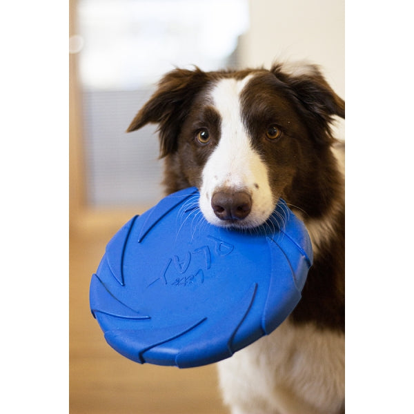 Rosewood Dog Toy BATTERSEA FOAM FLYER