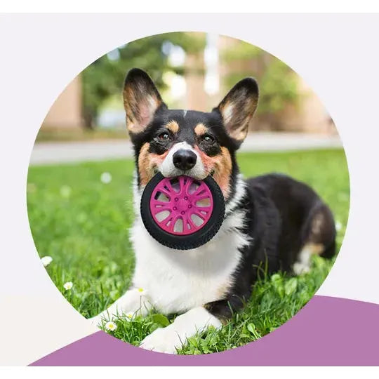 PETOPIA Ultra Tough Dog Toy Crazy Tyre