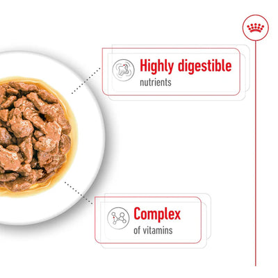 ROYAL CANIN Mini Adult Chunks in Gravy Wet Dog Food 85g x 12