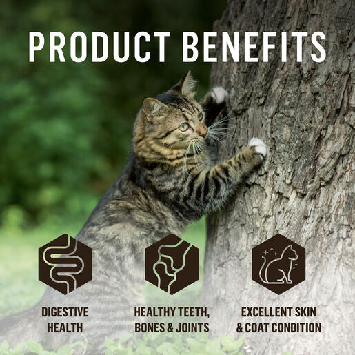 Doctor B's BARF Frozen Raw Cat Food Turkey Recipe 115G x 12