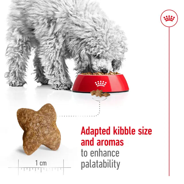 ROYAL CANIN Mini Adult Dry Dog Food