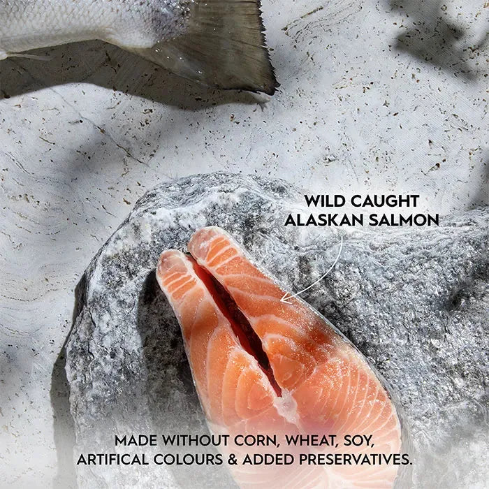 TRILOGY™ Adult Cat Wet Food - WILD CAUGHT ALASKAN SALMON IN BONE BROTH