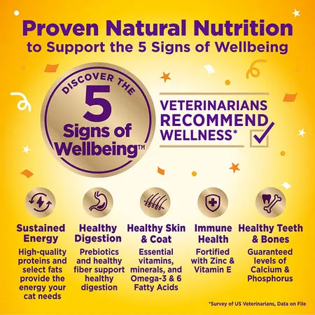 WELLNESS Core Wet Cat Food Appetizing Entrees Favourites Seafood Variety 40g x 8