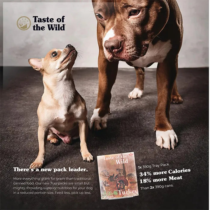 TASTE OF THE WILD - Wet Dog Food TURKEY and Duck with Fruit and Vegetables Tray