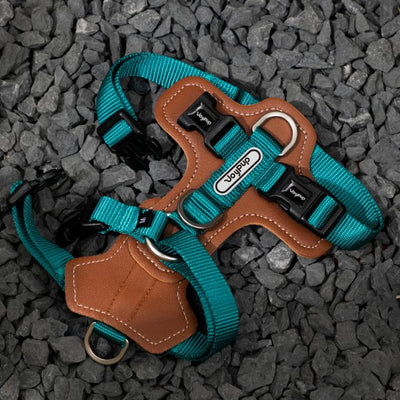 Joy Pup Hey Buddy! Dog Harness Pistachio Green