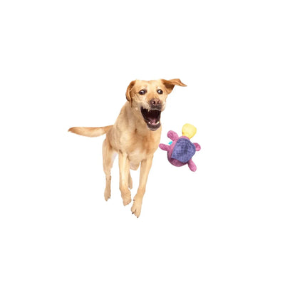 BARK Australian Outbark Collection Pippi Platypus Plush Dog Toy