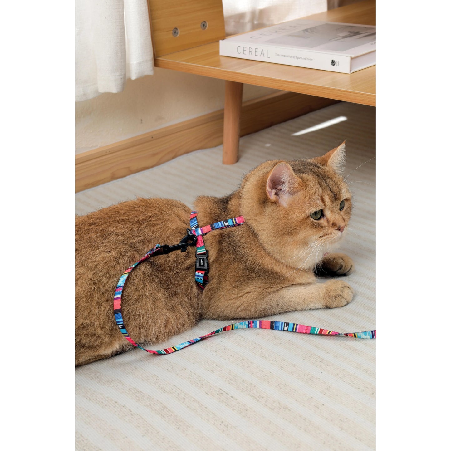 M-Pets URBANSTYLE Jazz Stripes Cat ECO SET (Harness & Leash)