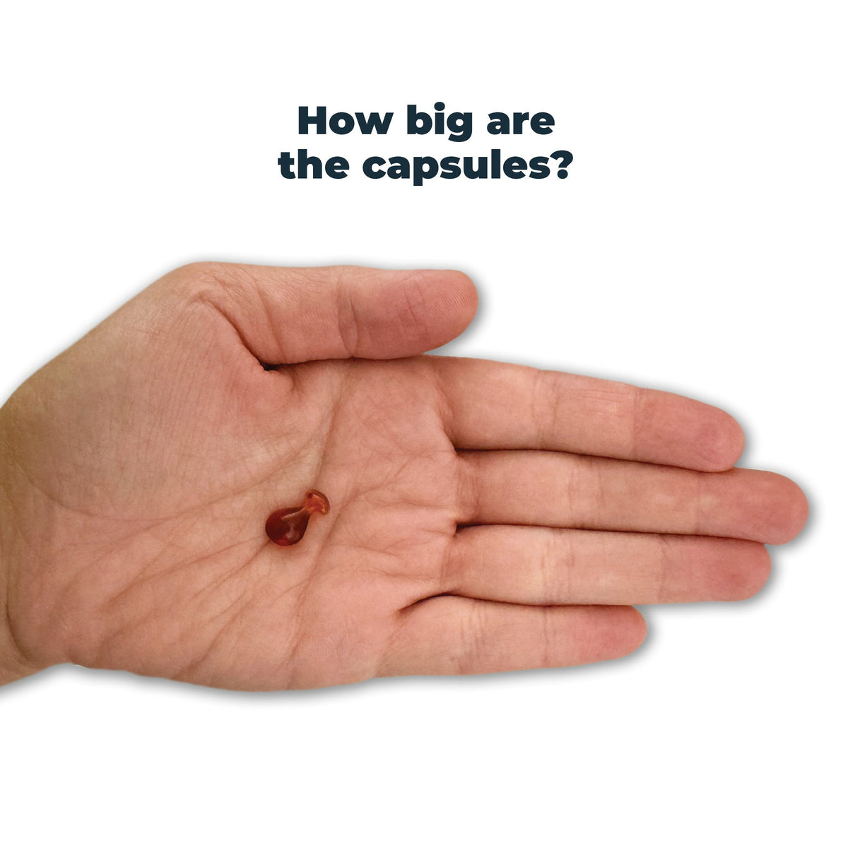 Antinol Easy Feed capsule shown in a hand for size