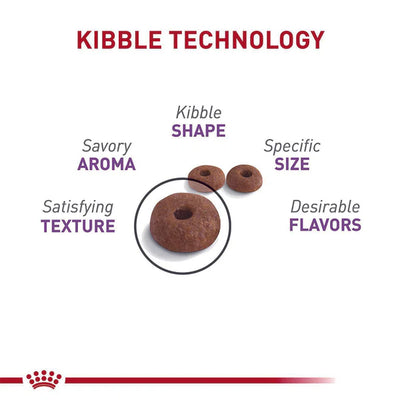 ROYAL CANIN Appetite Control Care Adult Dry Cat Food