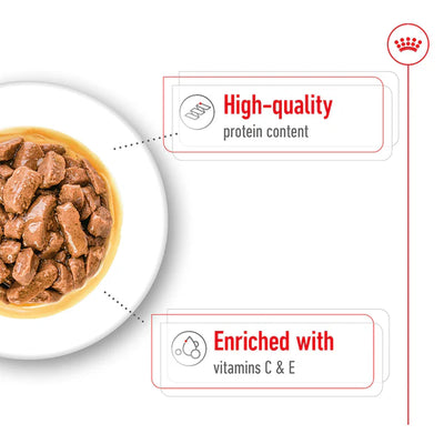 ROYAL CANIN Medium Adult Chunks in Gravy Wet Dog Food 140g x 10