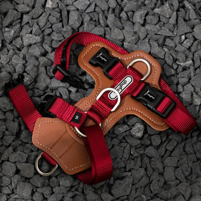 Joy Pup Hey Buddy! Dog Harness Ruby Red
