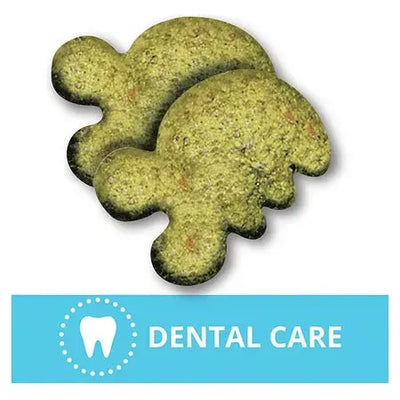 GREENIES Feline Dental Cat Treats Savoury Salmon