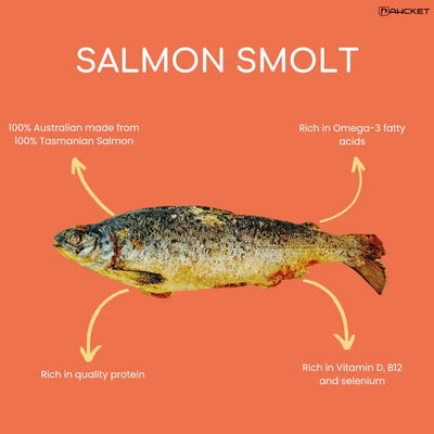 PAWCKET-Freeze Dried Raw Salmon Smolt Treat 1 Whole Pc