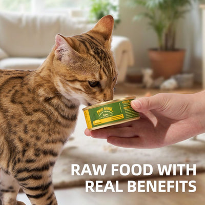 Opet True Bowl Cat Wet Food - Chicken Recipe 100g x 6