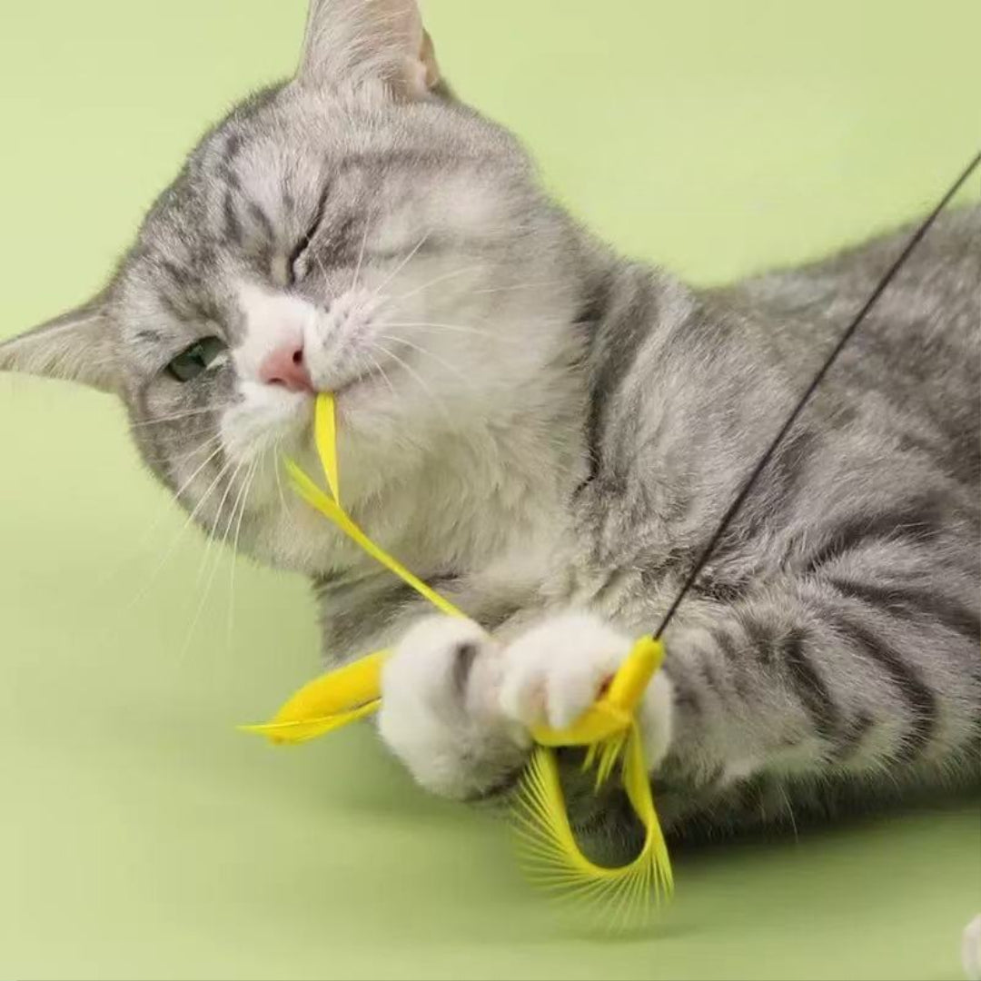 Cat Teaser Wand Toy - Grass Style
