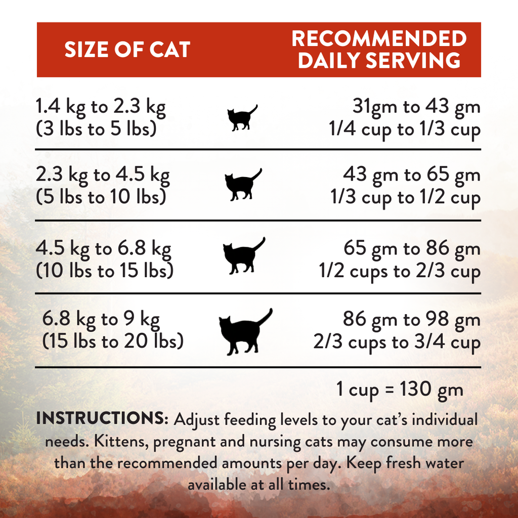 Addiction Cat Dry Food Wild Islands Forest Meat 1.8kg