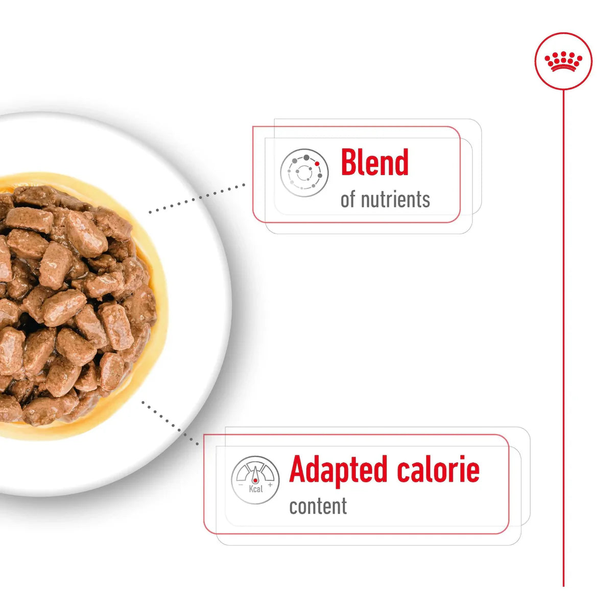ROYAL CANIN Mini Aging Chunks in Gravy Wet Dog Food 85g x 12