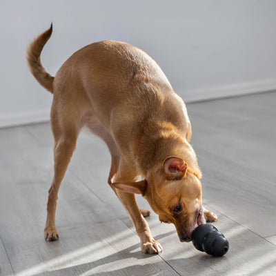 KONG Dog Toy Extreme Black Rubber