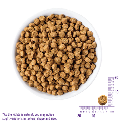 WELLNESS Core Grain Free Cat Turkey & Duck Formula Dry Food 2.27kg