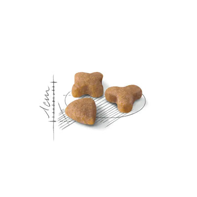 ROYAL CANIN Sensible Adult Dry Cat Food