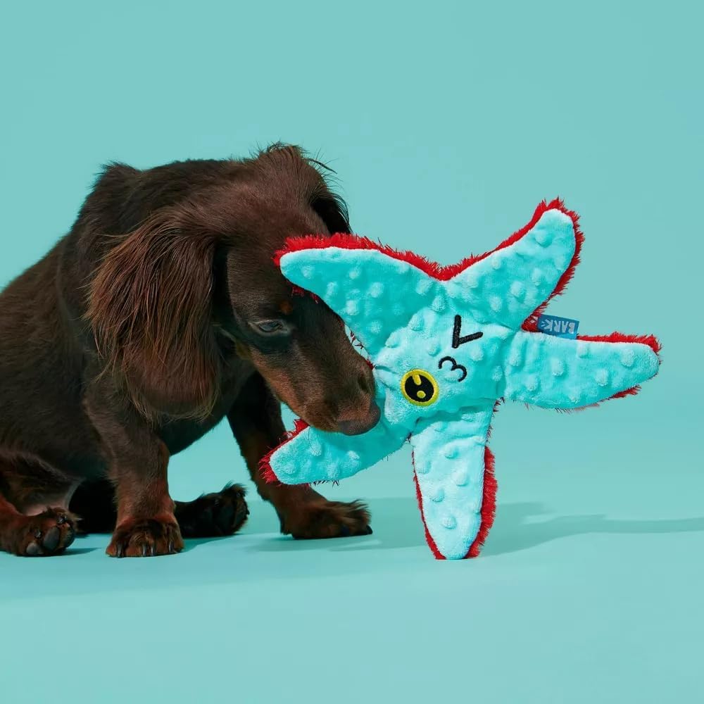 BARK Carl Starfish Plush Squeaky Dog Toy