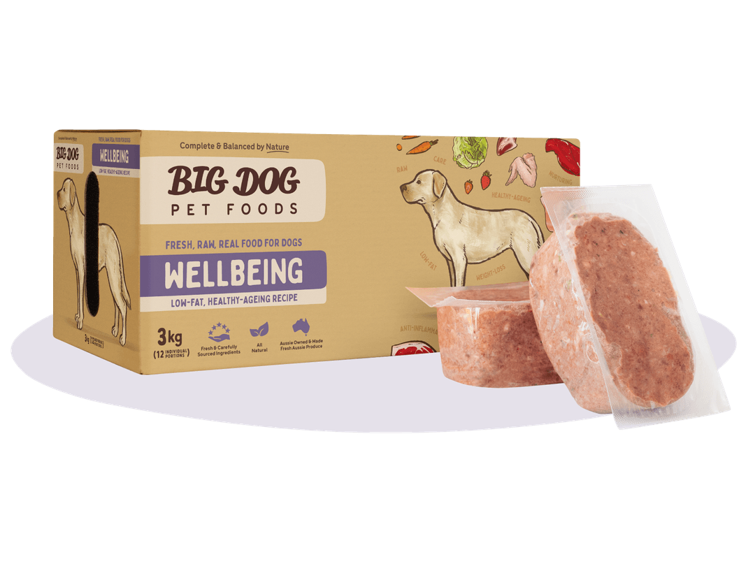 Big Dog Raw Food For Dogs Wellbeing Raw Diet 3Kg