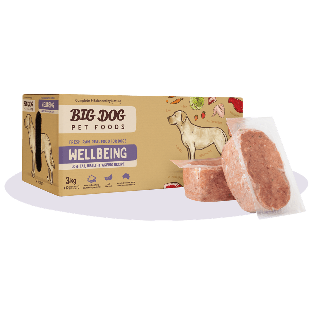 Big Dog Raw Food For Dogs Wellbeing Raw Diet 3Kg