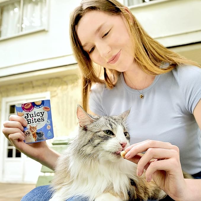 INABA Cat Juicy Bites Scallop and Crab Flavour