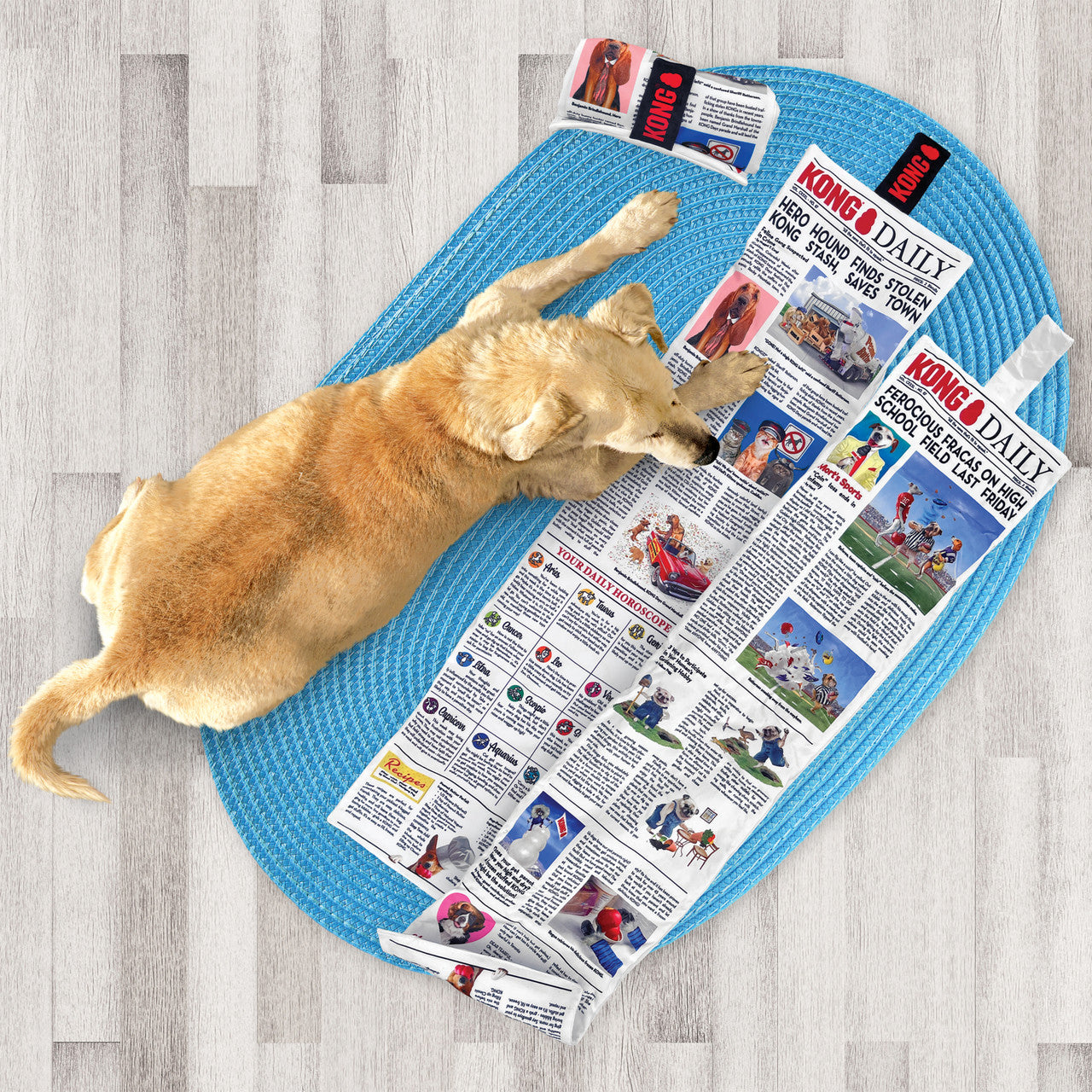 KONG Dog Toy Daily Newspaper XLarge