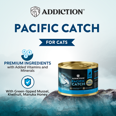 Addiction Cat Wet Food Wild Islands Pacific Catch