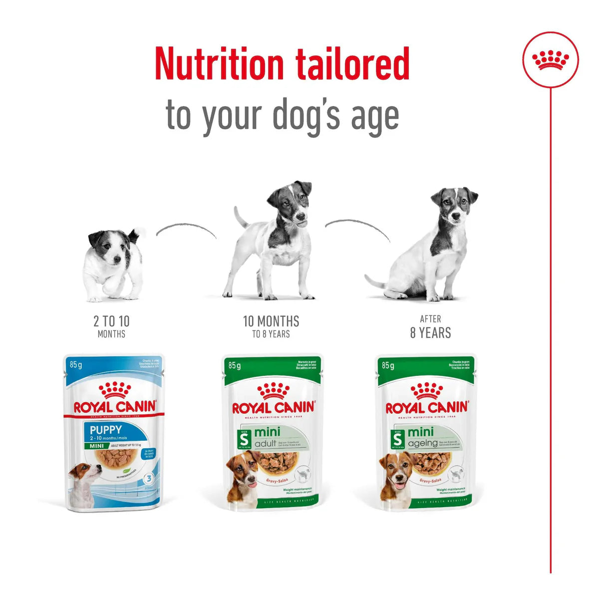 ROYAL CANIN Mini Aging Chunks in Gravy Wet Dog Food 85g x 12
