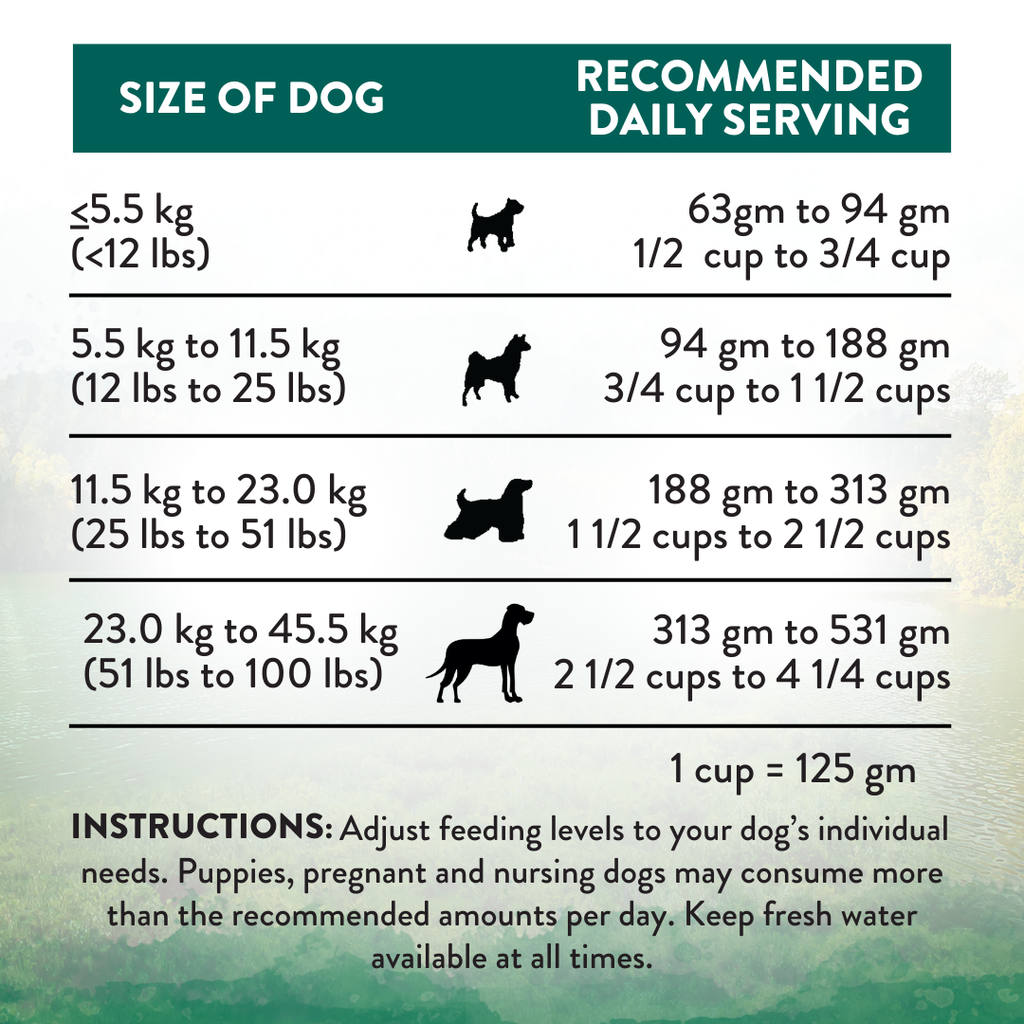 Addiction Dog Dry Food Wild Islands Island Birds