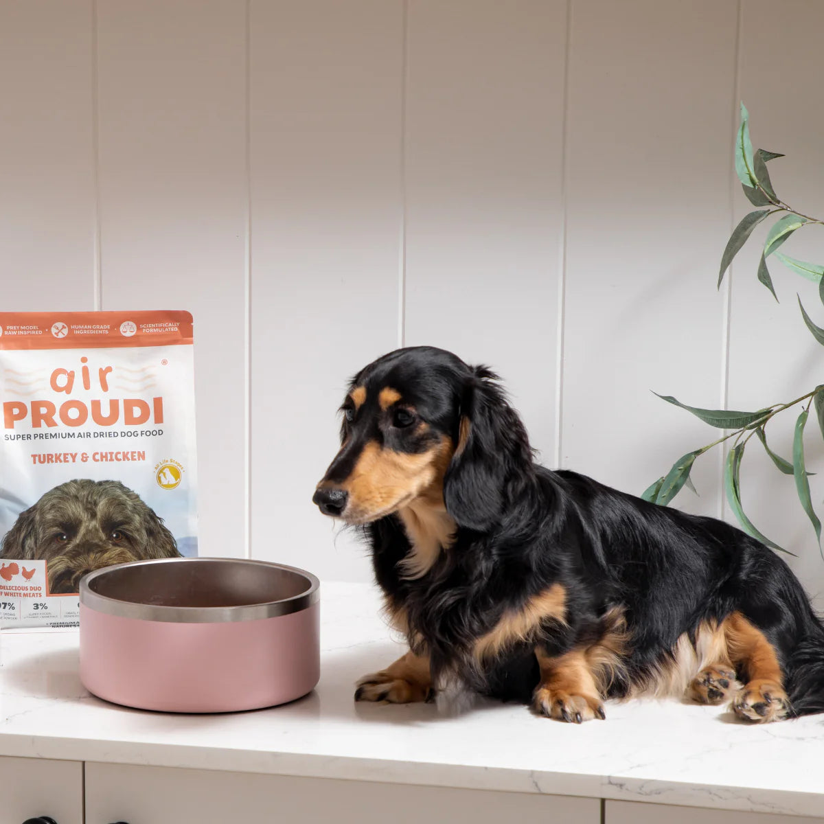 Air Proudi Air Dried Dog Food - Turkey & Chicken