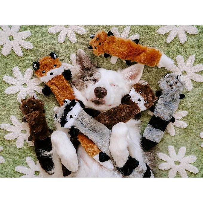 Zippypaws Plush Toys For Dog Skinny Peltz – Small Set of 3