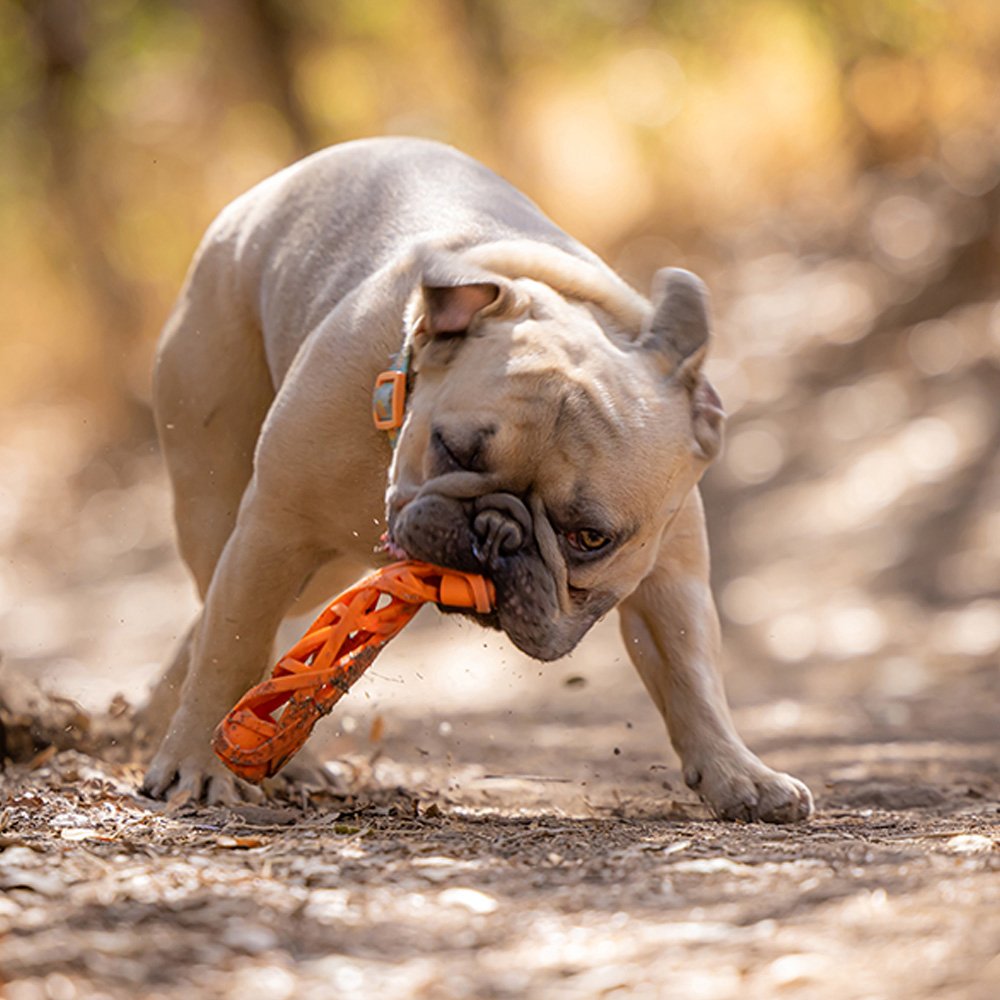 Chuckit! Dog Toy Air Fetch Stick Small