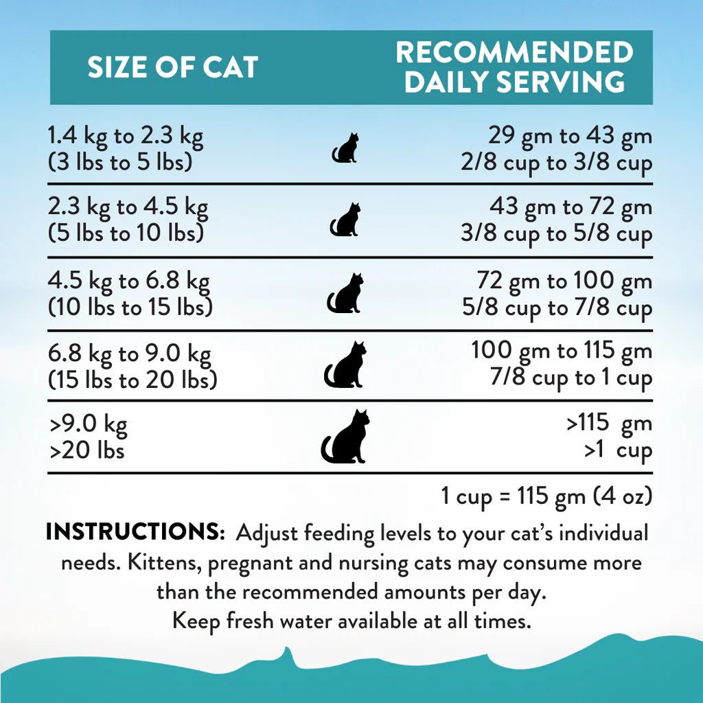 Addiction Cat Dry Food Salmon Bleu 1.8kg