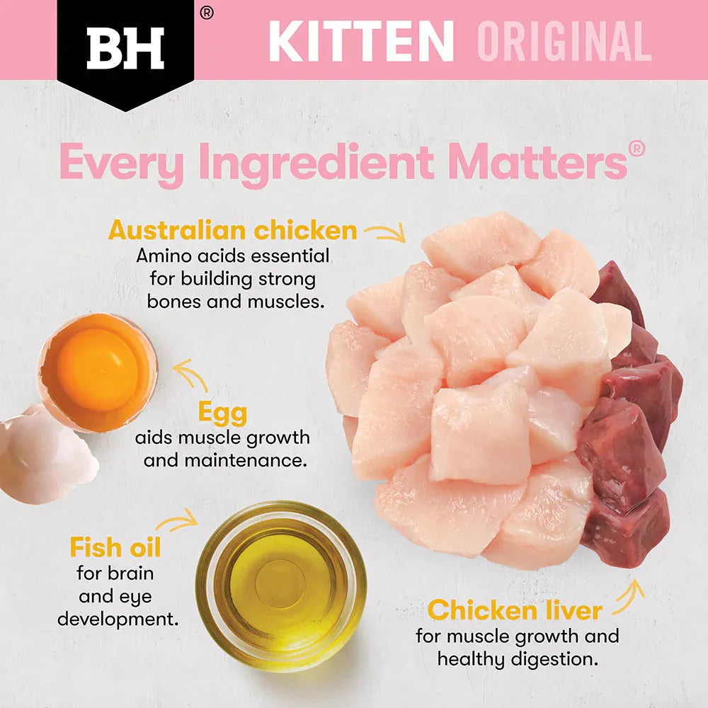 Black Hawk Kitten Cat Dry Food Chicken