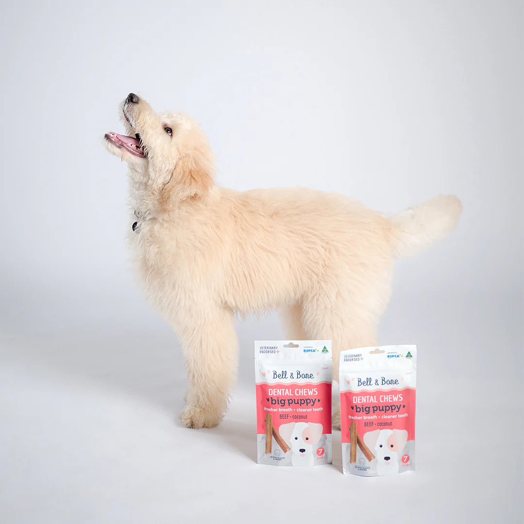 Bell and Bone Dog Dental Sticks - Puppys - Beef and Coconut